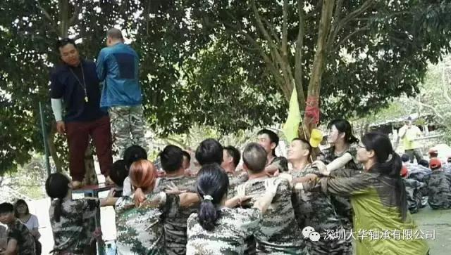 深圳大華軸承 2017南澳拓展 深圳大華軸承 2017南澳拓展